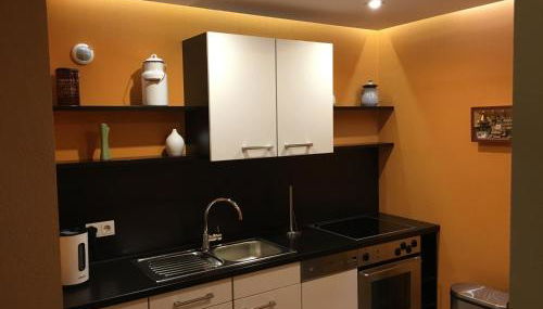 Weinrebe Oberhermsdorf nahe Dresden - Photo 5, stove