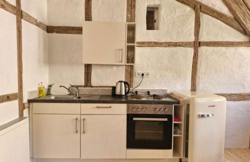 Urlaub auf dem Rittergut Friedeburg - mit direkter Nähe zur Saale - Foto 16