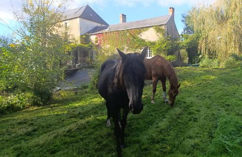 Gîte les pieds dans l'eau - Photo 12