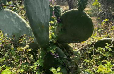 Przystań Adriatyk Świetna Lokalizacja - Foto 44