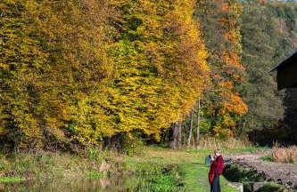 "Rózin Pstrągarnia" domki całoroczne Jura Krakowsko-Częstochowska - Foto 80