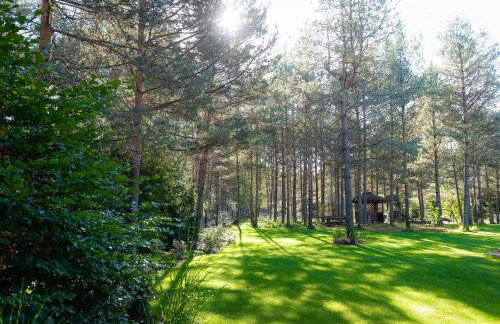 Leśna Strzecha - Foto 47