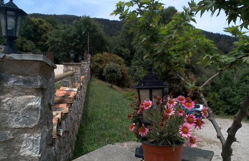 Pasithea Mountain Chalet - Foto 6