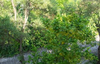 Possidi Aigaiopelagitika 2-floor beach house - Foto 50