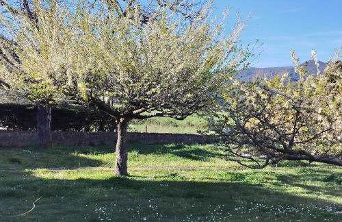 Finca Arep alquiler integro 6 Les Planes - Foto 37