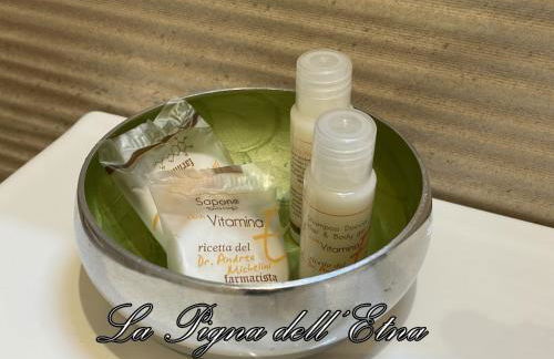 La Pigna dell'Etna - Foto 17