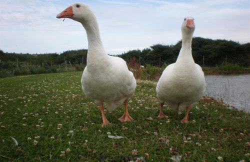 Jurassic Loft Apartment - Foto 22