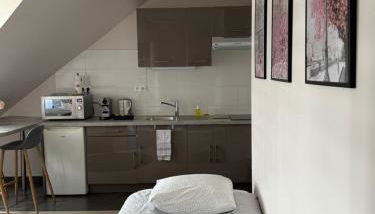 Appartement Strasbourg Centre - Photo 2, towels