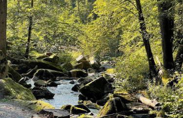 Ferienwohnung Theresa - Photo 27