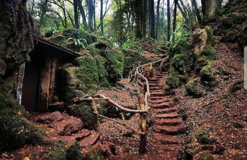 The Chaff House Country Cottage - Foto 6