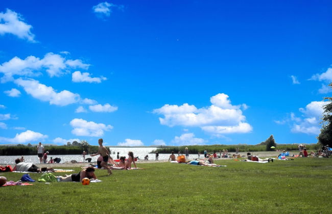 Cozy House Heide 6p at a Canal Near Lake Lauwersmeer - Photo 13