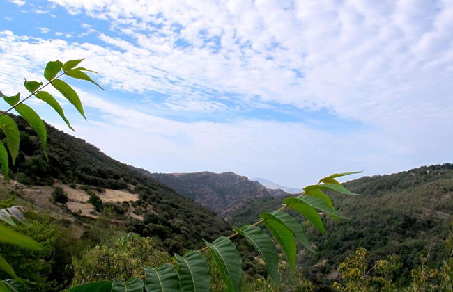 Apartamentos Balcón del Cielo - Foto 50