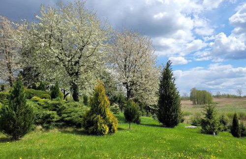 Gęsia Sielanka - Foto 38