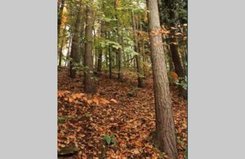 2 Beautiful Apartments in One House - Foto 44