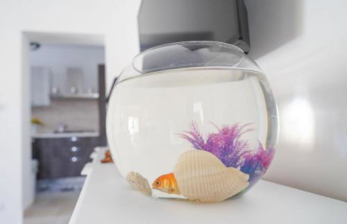 trullo lantane - Foto 51