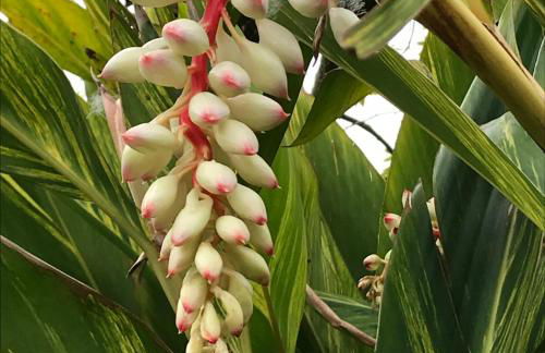 Haciendas del Valle - Casa San Miguel - Foto 19