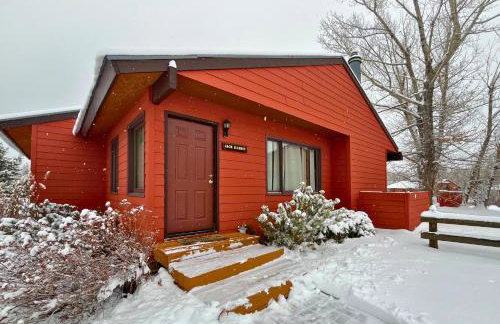 Jack Rabbit - Foto 1