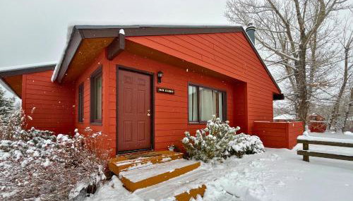 Jack Rabbit - Foto 1