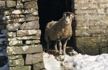 Heart Of Hawes Holiday Cottage - Foto 45