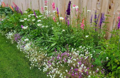 Luxury DT Cottage - Free Parking - Self Check-In - Foto 4