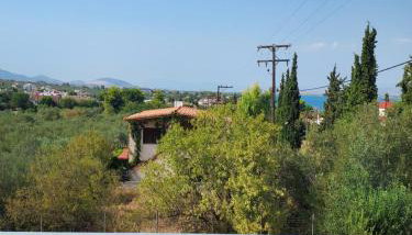 Dimitri's house - Photo 3