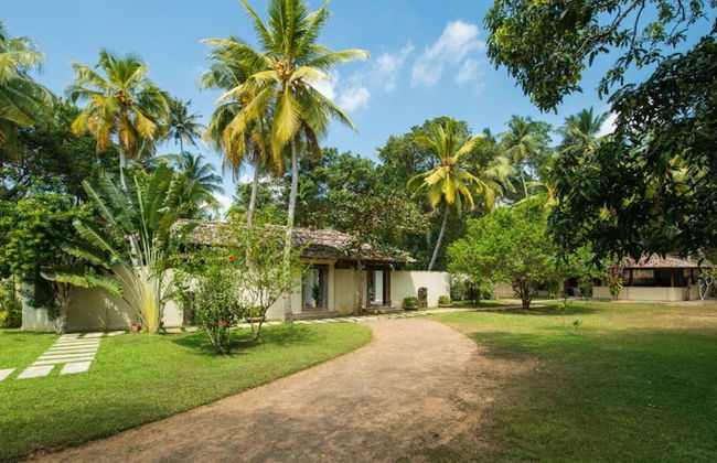 Modern Luxury 03 Bedroom Villa - Photo 6