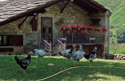 Casa Rincon Pasiego - Foto 7