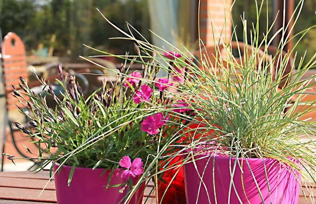 Ferienwohnungen Ostseeblick - Foto 75