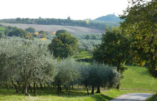 Genius Loci Country Inn - Photo 37