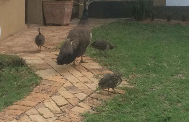 The Cradle Rest - Foto 32