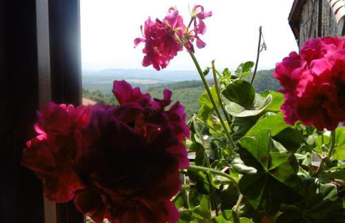 Apartamentos Azahar - Foto 77