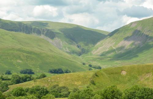 Woodlands Cottage - Foto 27