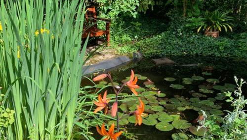 Ferienwohnung am Krippenhof - Foto 4, Garden