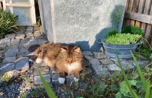 Bei uns im Allgäu - Ferienwohnungen für Erholung und Aktivität - Foto 54