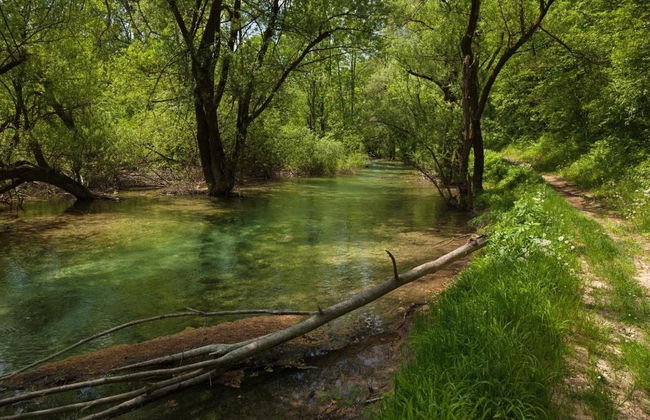 Guesthouse Zafran - Foto 7