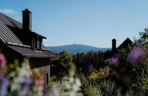 Holiday Homes in Torfhaus Harzresort, Torfhaus - Foto 124