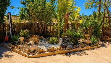 Son Roig ,Beautiful Place in the Heart of Mallorca -ETV 9979 - Photo 4