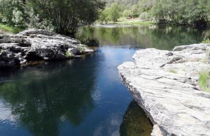 Casa da Bica Gondesende - Photo 46