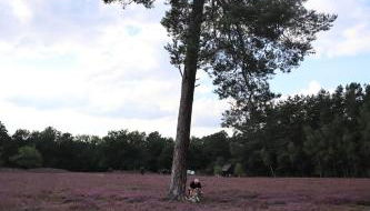 Tom olen Stien - Heidjer Ferien - Foto 4