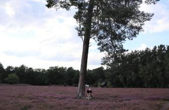 Tom olen Stien - Heidjer Ferien - Foto 4