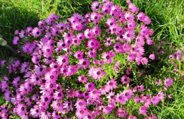 Tu Casa de Pueblo - Photo 29