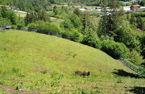 Agritur La Gemma - Foto 16