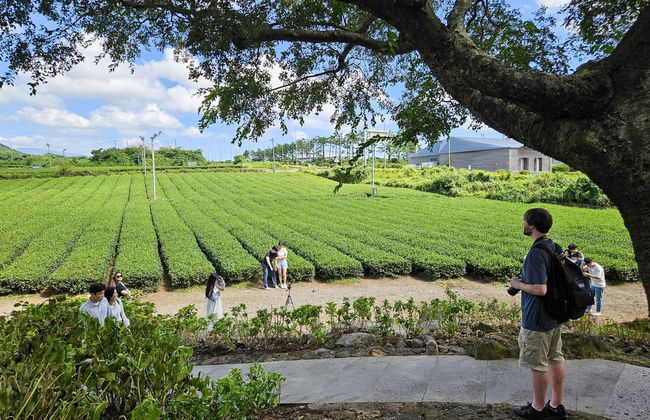 Tour pela ilha de Jeju - Foto 6