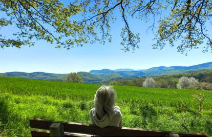 Ferienwohnung Gute Zeit - Foto 17