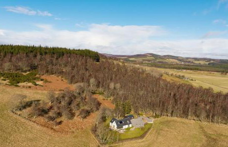 Tom's Lodge - Foto 30