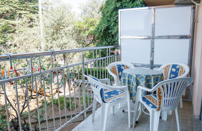 Sea star Danica - Foto 29