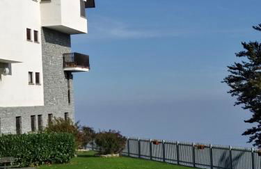 Panoramic Eagle - Photo 12