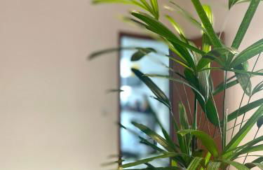 Casa Jabuticaba a 5 min dos Thermas e Hot Beach - Foto 27