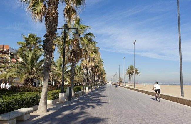Tour en bicicleta eléctrica : Playas, & Ciudad de las Artes y las Ciencias - Foto 29