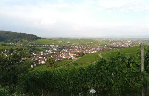 Apartment Schneeburg - Photo 21